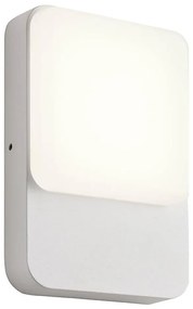 Redo 90128 - LED kültéri fali lámpa COLIN LED/9W/230V 4000K IP54 fehér