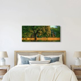 Zsiráf a természetben képe (120x50 cm)
