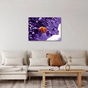 Kép - Tengerpart (70x50 cm)