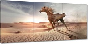 Képek 210x100 Galoppozó ló