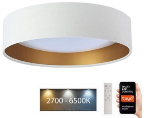 BPS Koncept LED Mennyezeti lámpa SMART GALAXY LED/24W/230V Wi-Fi Tuya fehér/arany + távirányító BS0509