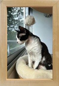 Fotókeret felállítható és felakasztható 15x23 fa 2 cm fenyő szín