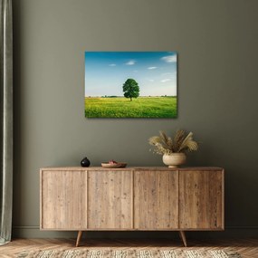 Fa képe a réten (70x50 cm)