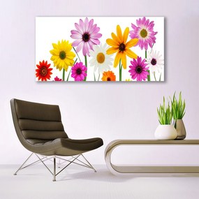 Üvegkép Színes virágok természet 100x50 cm