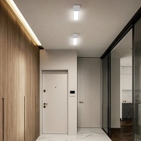 Immax NEO 07257L - LUNGO 20W/230V Wi-Fi LED dimmelhető lámpa, fehér + DO