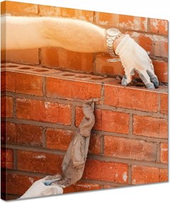 Vászonkép 30x30 Tégla lerakás habarcs