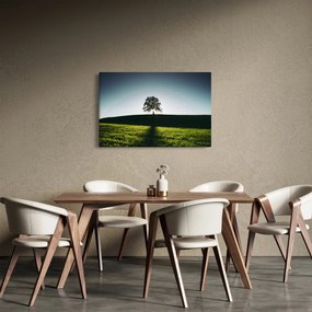 Természet kép - fa (90x60 cm)