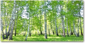 Fotó vászonkép edzett üveg Nyírfa 140x70