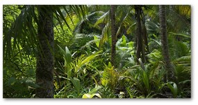 Akrilkép Trópusi erdő oah-65033935