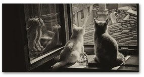 Akrilkép Macskák az ablakban oah-86646592