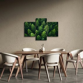 Kép - Forest (90x60 cm)