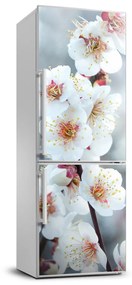 Hűtő matrica Cseresznye virágok FridgeStick-70x190-f-104952401