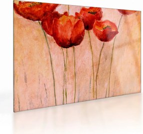 Kép - piros tulipán (üvegen) (70x50 cm)