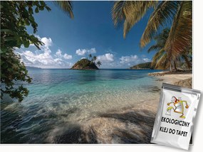 Fotótapéta Tengerpart Pálmafák Óceán Sziget Hálószoba Nappali Tapéta Flizelina 350x250