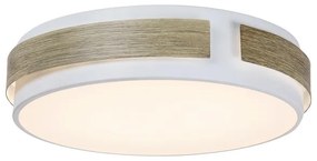 Rabalux 5646 - Dimmelhető SALMA mennyezeti LED lámpatest, 24W/230V