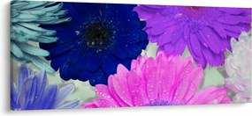 Színes virágok képe (120x50 cm)