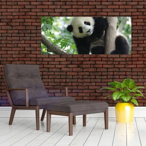 Kép - Panda a fán (120x50 cm)