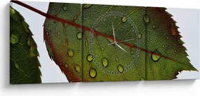 Kép - Rózsalevél (órával) (90x30 cm)