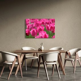 Kép - Rózsaszín tulipánok (90x60 cm)