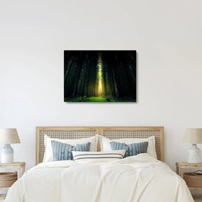 Sötét erdő képe (70x50 cm)