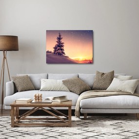 Havas fa egy réten képe (70x50 cm)