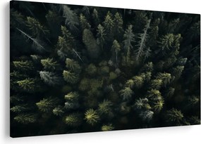 Kép - Forest (90x60 cm)