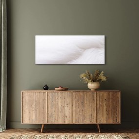 Kép - Fehér toll (120x50 cm)