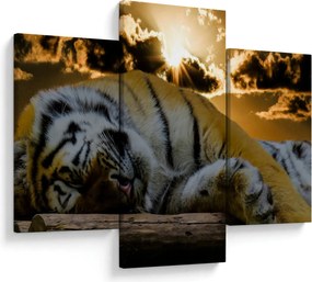Alvó tigris képe (90x60 cm)