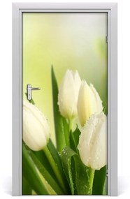Poszter tapéta ajtóra fehér tulipán 75x205 cm