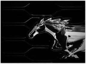 Poszterek 135x100 Ford Mustang Usa autó