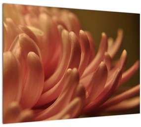 A virág részletének képe (üvegen) (70x50 cm)