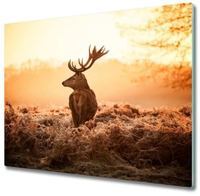 Üveg vágódeszka Deer napkelte 60x52 cm