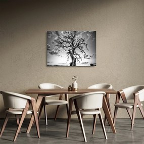 Kép - fekete fehér fa (üvegen) (70x50 cm)