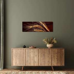 Kép - Rozsfül részlete (órával) (90x30 cm)