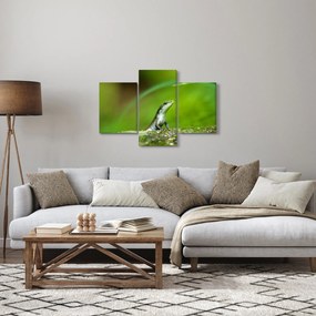 Gyíkok képe (90x60 cm)