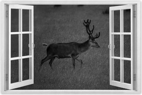 Poszterek 60x40 Szarvas a tisztáson