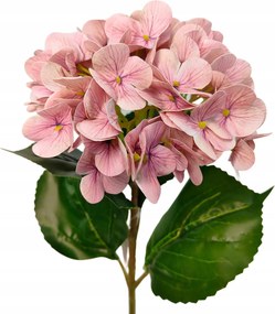 Hortenzia szimpla gumĂrozott lila csĂkos