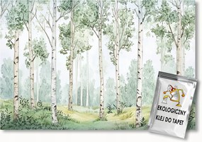 Fotótapéta Flizelina Tájkép Zöld Erdő Park Nyírfák 350x250 ragasztó