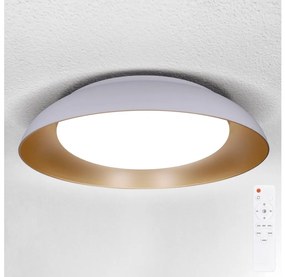 Brilagi - LED Dimmelhető lámpatest ALVA LED/48W/230V 3000-6500K Ø 51 cm fehér + távirányító