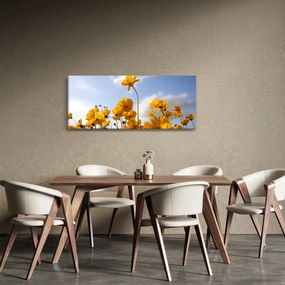 Fényes sárga virágokkal rendelkező mező képe (120x50 cm)