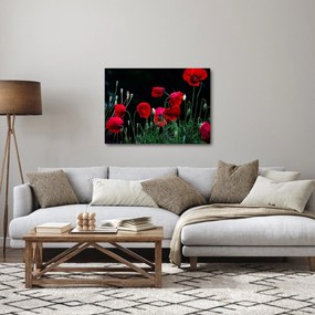 Kép - Pipacsok tánca (70x50 cm)