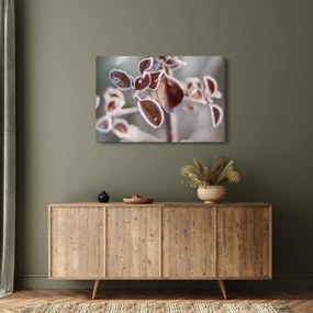 Kép - Levelek részlete (90x60 cm)