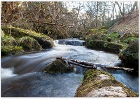 Poszterek 100x70 Okos hegyi folyó