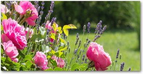 Fotó vászonkép edzett üveg Vadrózsa 140x70