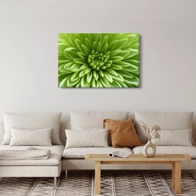 Kép - Makro kép egy növényről (90x60 cm)