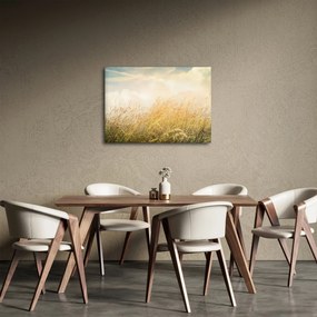 Kép - Mező ősszel (70x50 cm)
