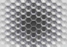 Flizelin fotótapéta Szürke kockák 3D geometria Illúzió 460x300 +ragasztó