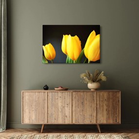 Tulipán képe (90x60 cm)