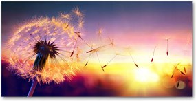 Fotó kép edzett üveg Pitypang 140x70