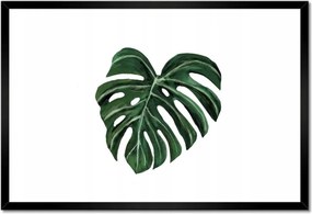 Poszter keretben 60x40 Monstera deliciosa Levél